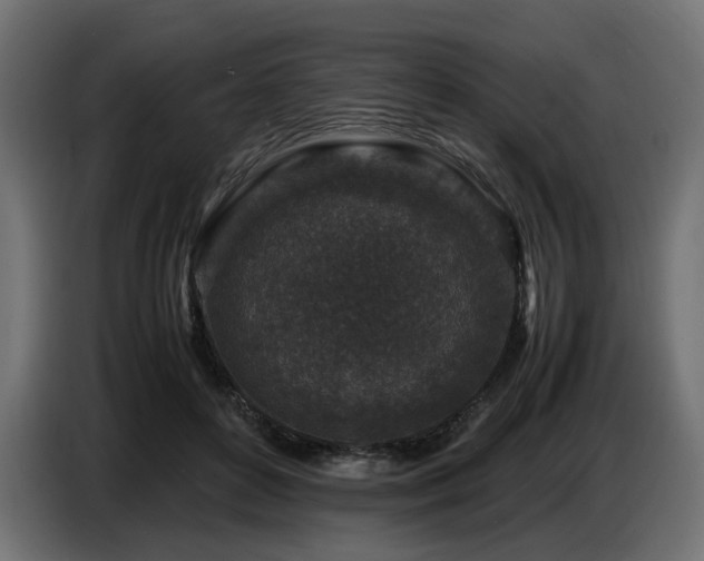 X0000087670504200705041013