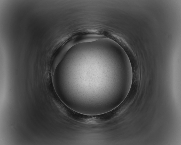 X0000087670505200705041013