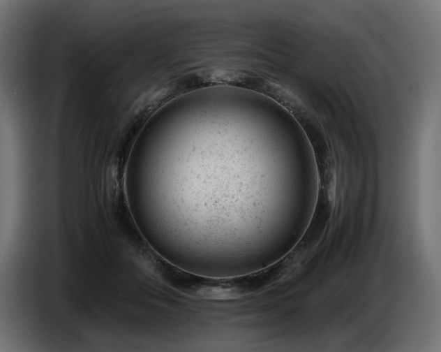 X0000087670506200705041013