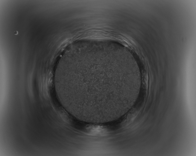 X0000087670507200705041013