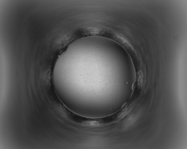 X0000087670509200705041013