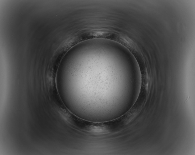 X0000087670510200705041013