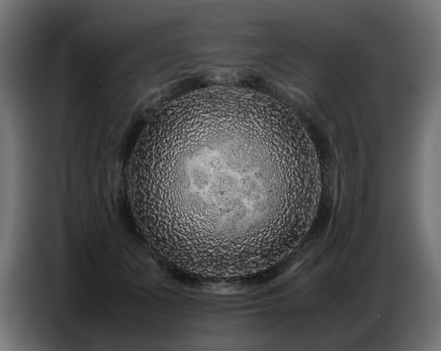 X0000087670511200705041013