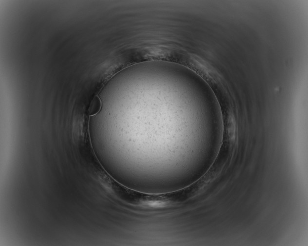 X0000087670514200705041013