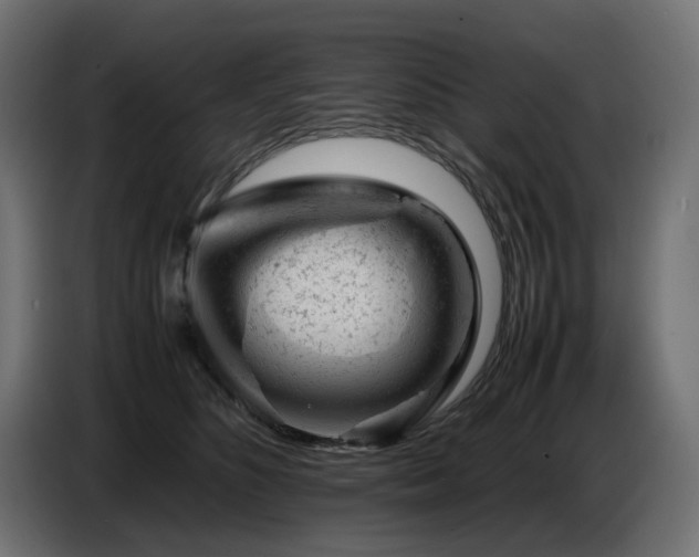 X0000087670516200705041013