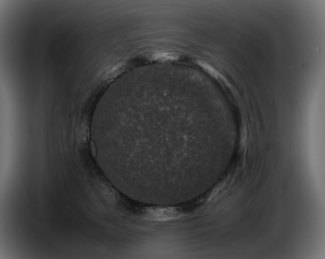 X0000087670517200705041013