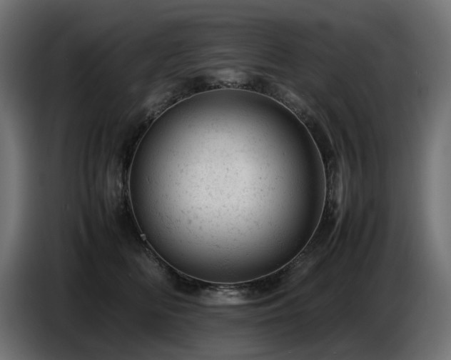 X0000087670518200705041013