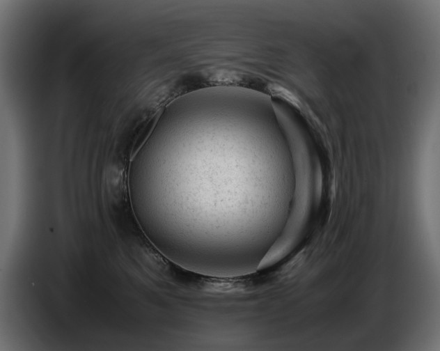 X0000087670521200705041013