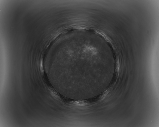 X0000087670524200705041012