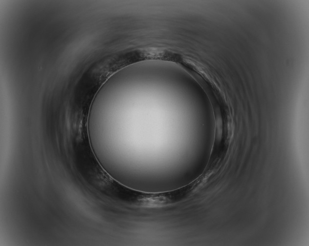 X0000087670525200705041012