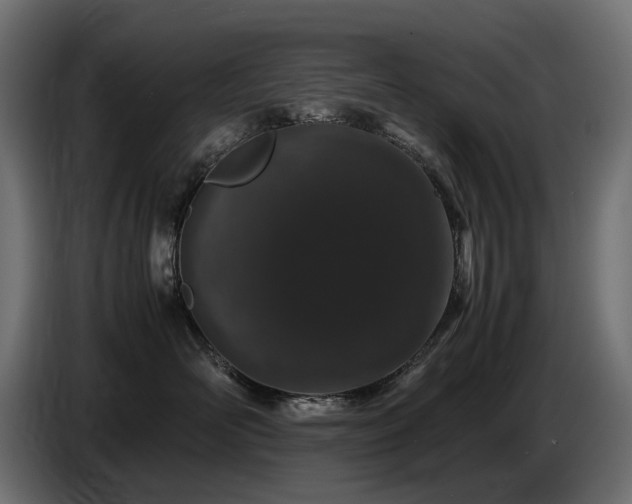 X0000087670526200705041012