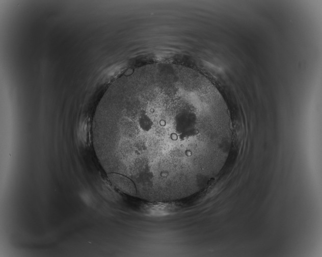 X0000087670527200705041012