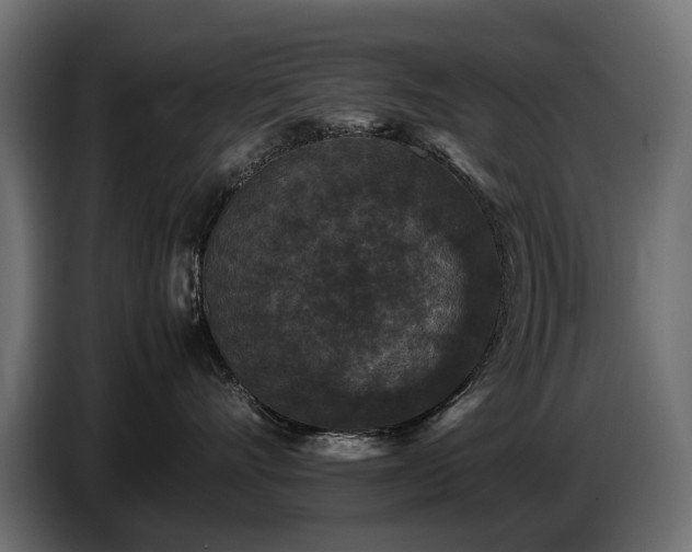 X0000087670528200705041012