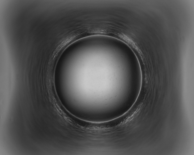 X0000087670529200705041012