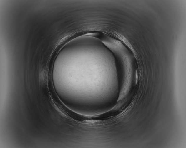 X0000087670530200705041012