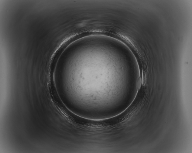 X0000087670531200705041012