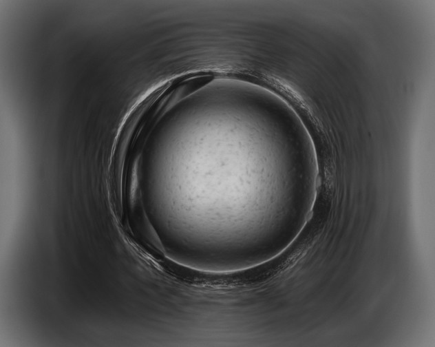 X0000087670532200705041012