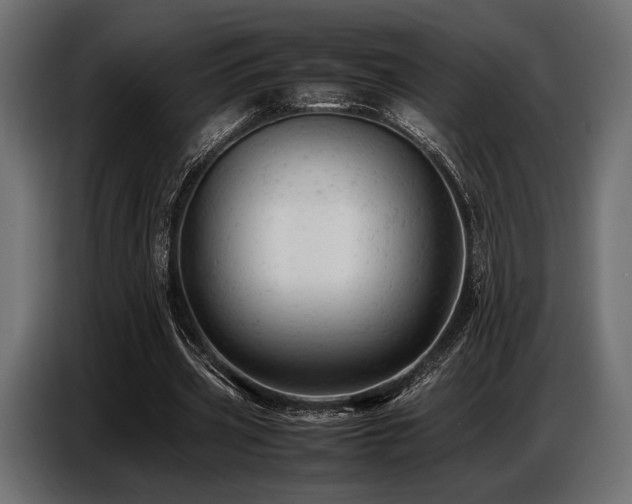 X0000087670533200705041012