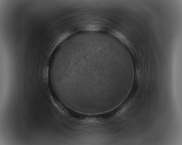 X0000087670534200705041012