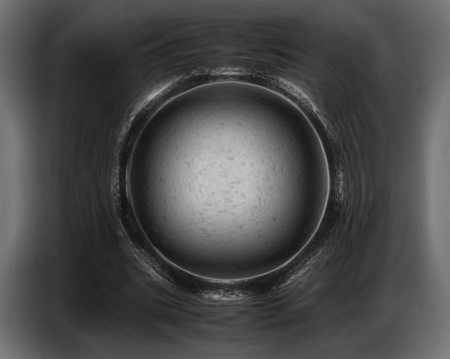 X0000087670535200705041012