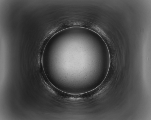 X0000087670537200705041012