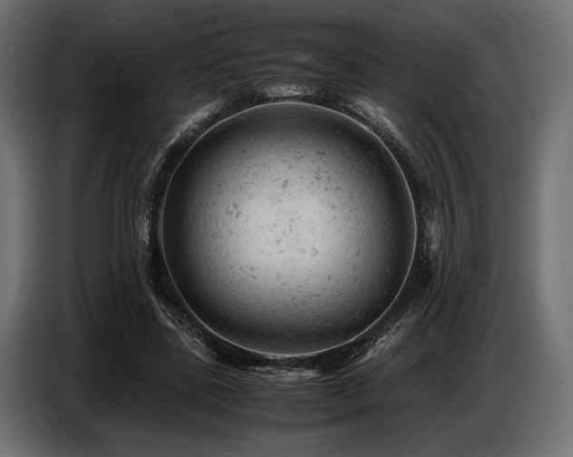 X0000087670539200705041012