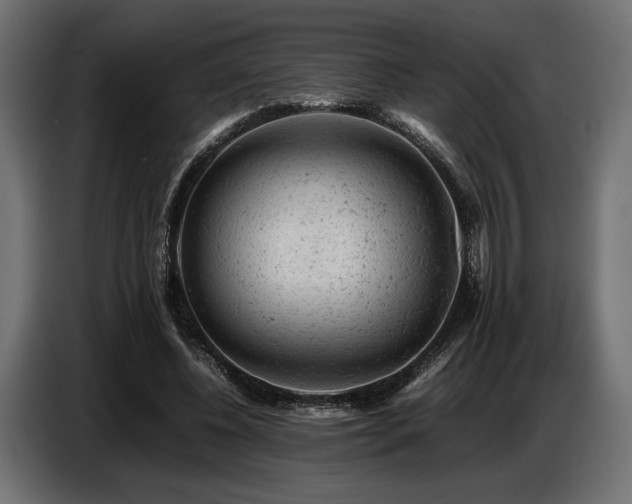 X0000087670540200705041012