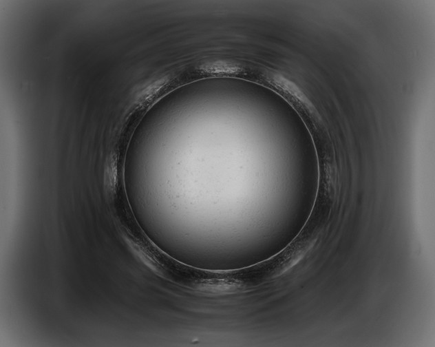 X0000087670541200705041012