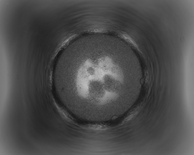 X0000087670542200705041012