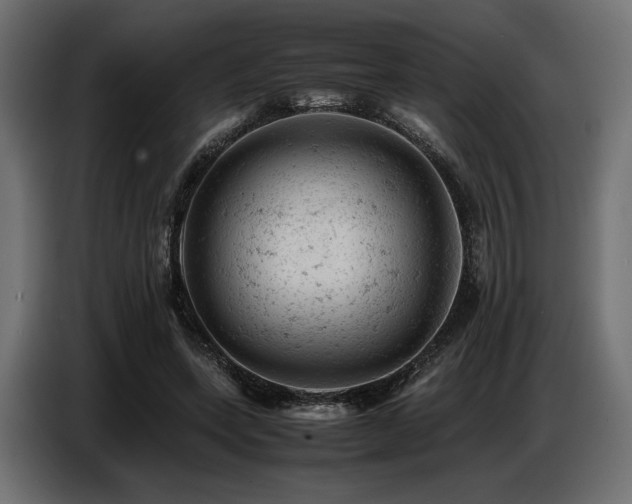 X0000087670543200705041012