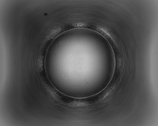 X0000087670545200705041012