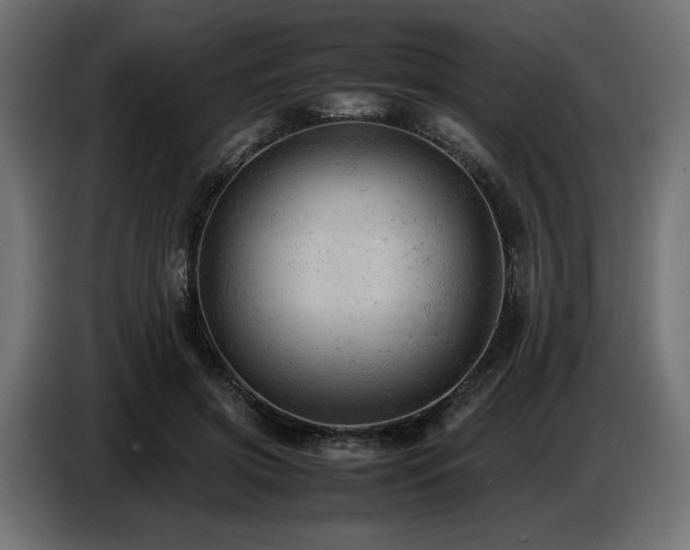 X0000087670549200705041012