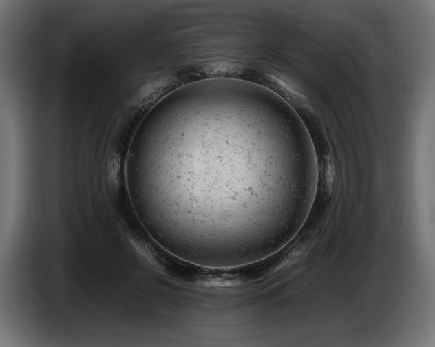 X0000087670550200705041012