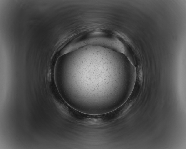 X0000087670552200705041012