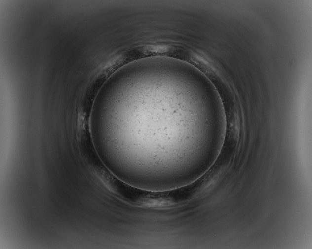 X0000087670555200705041012