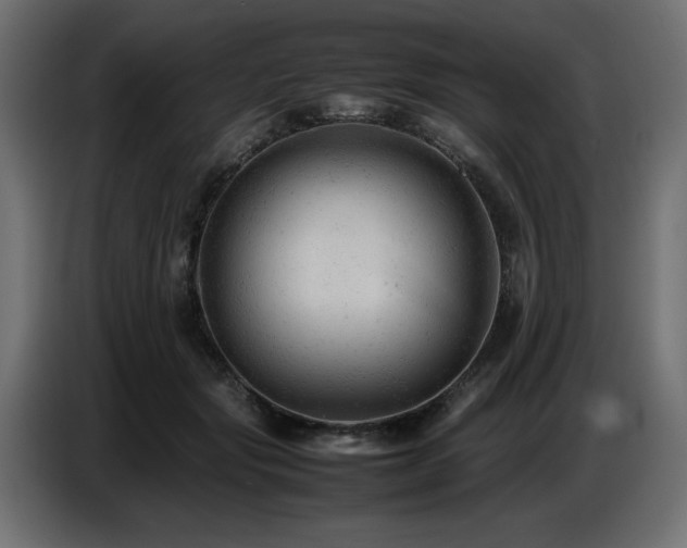 X0000087670557200705041012