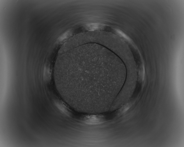 X0000087670558200705041012