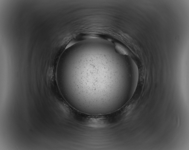 X0000087670560200705041012