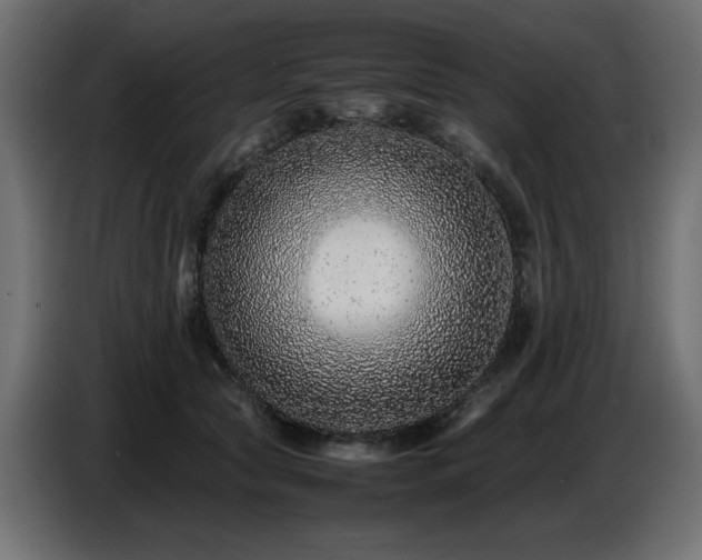 X0000087670561200705041012