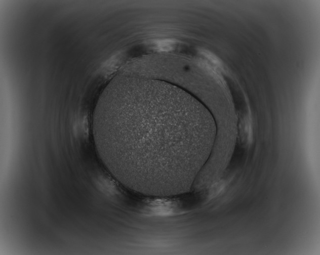 X0000087670562200705041012