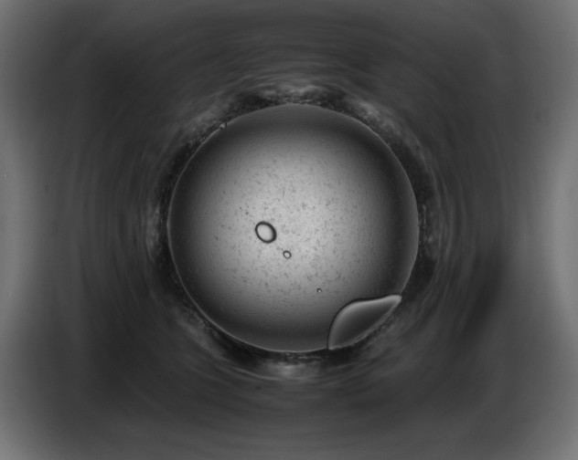 X0000087670563200705041012