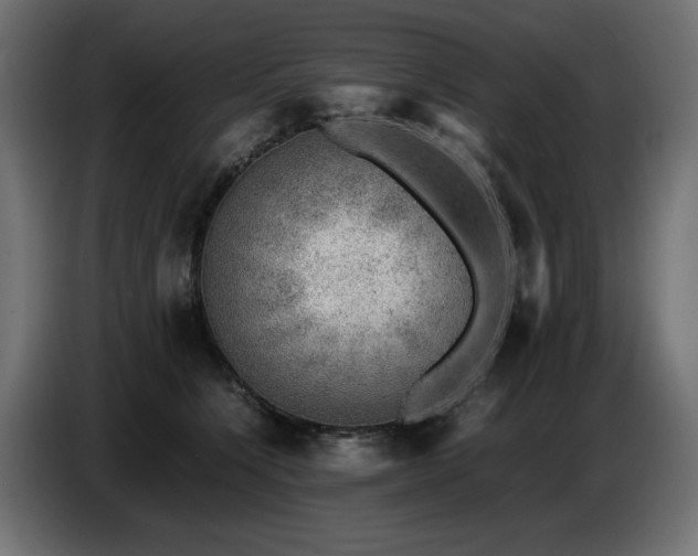 X0000087670564200705041012