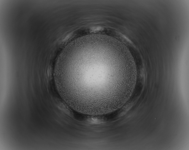 X0000087670565200705041012