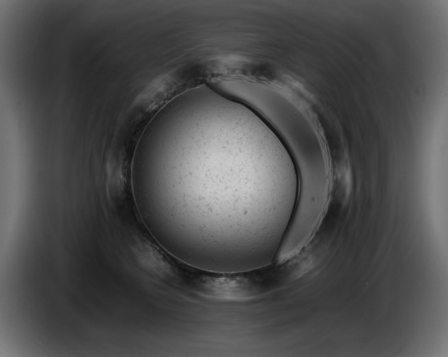 X0000087670566200705041012