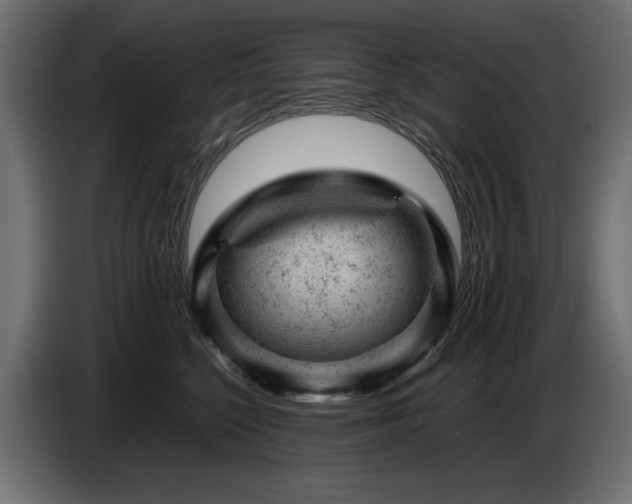 X0000087670568200705041012