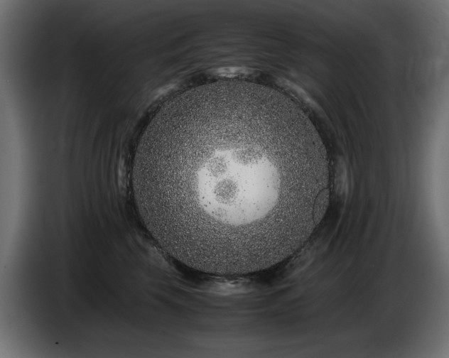 X0000087670569200705041012