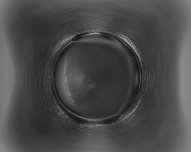 X0000087670577200705041012