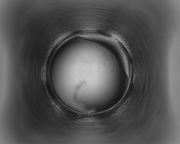 X0000087670578200705041012