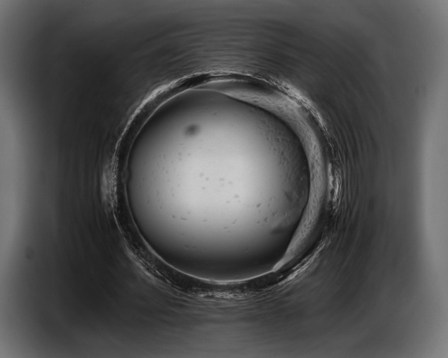 X0000087670580200705041012