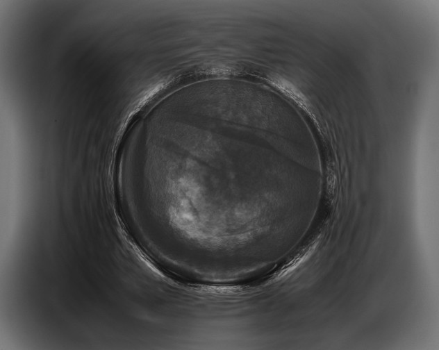 X0000087670581200705041012